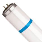 Philips TL - D MASTER Secura Actinic BL 15W - Blacklight | 44cm