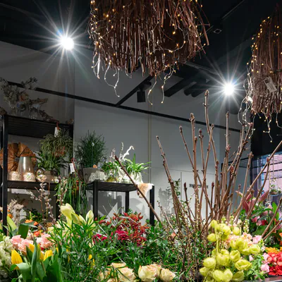 LED gas discharge lamps under a ceiling of a big industry hall